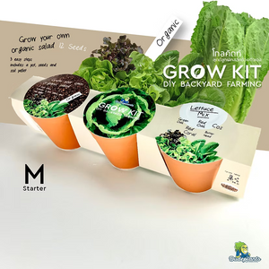 ชุดปลูกผัก Dud Grow Kit : Starter Series Set M Salad