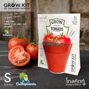 ชุดปลูกผัก Dud Grow Kit : Starter Series Set S มะเขือเทศ