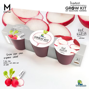 ชุดปลูกผัก Dud Grow Kit : สตาร์ทเตอร์ ซีรีส์ ชุด M หัวไชเท้า