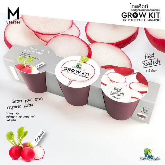 ชุดปลูกผัก Dud Grow Kit : สตาร์ทเตอร์ ซีรีส์ ชุด M หัวไชเท้า