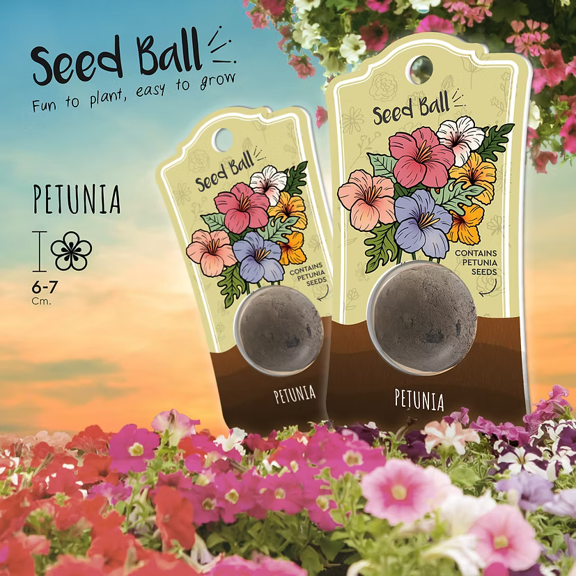 Dud Seed Ball : Petunia
